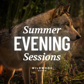 1.Summer Evening Sessions Devon Hero