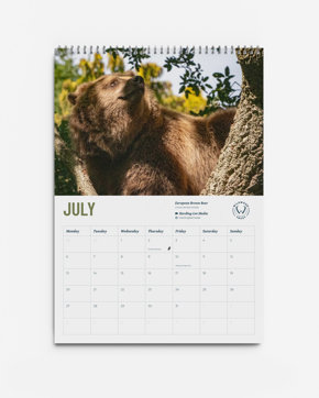 3. Wildwood Calendar 2026 (Devon)