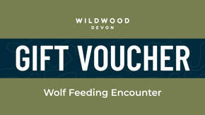 Devon Wolf Feeding Encounter