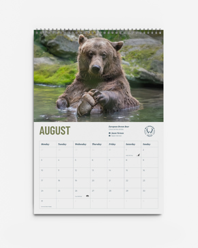 2. Wildwood Calendar 2026