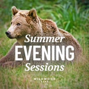 1.Summer Evening Sessions Kent Hero