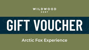 Kent Arctic Fox Experience