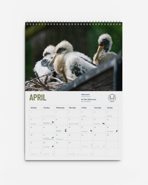 3. Wildwood Calendar 2026