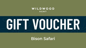 Kent Bison Safari
