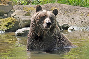 2024.04.18 Bears